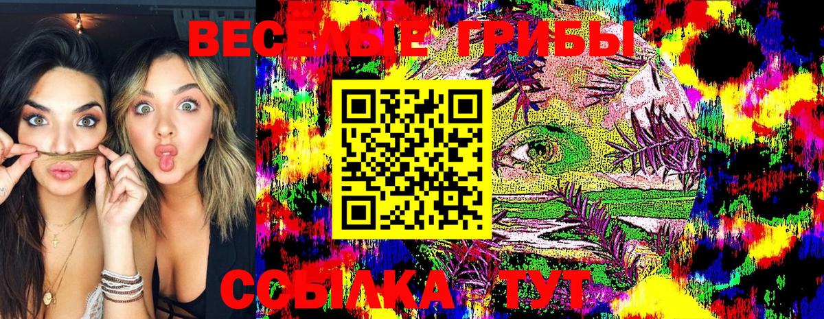Севастополь  Псилоцибиновые грибы GOLDEN TEACHER  Вход с VPN 