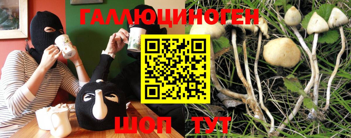 Псилоцибиновые грибы мухоморы Севастополь