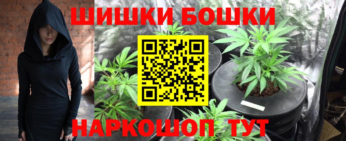Бошки Шишки семена Севастополь